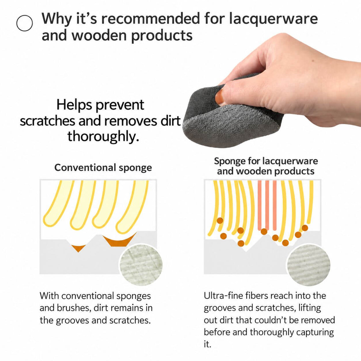 bristles infographic