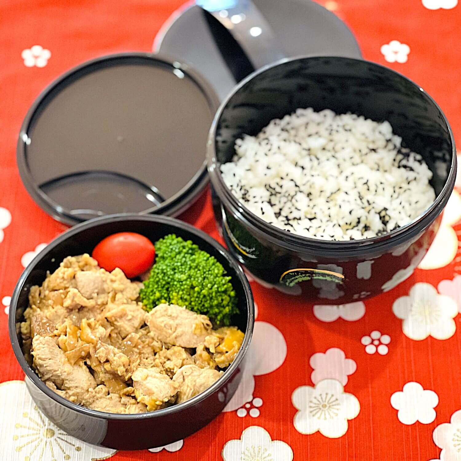 donburi bento box with oyako don