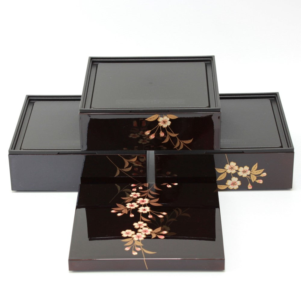 layers enyama picnic bento box arrangement
