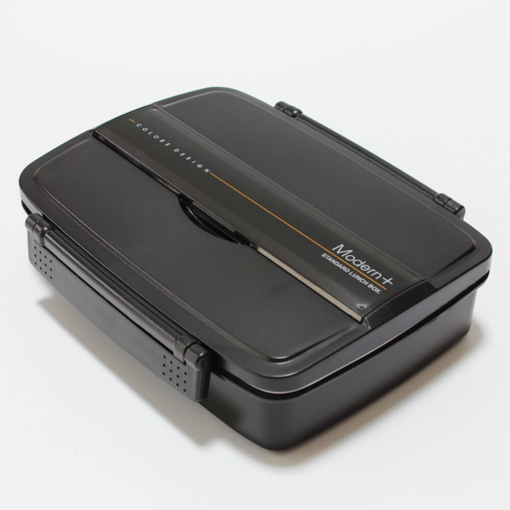 modern plus 1 tier bento box from skater