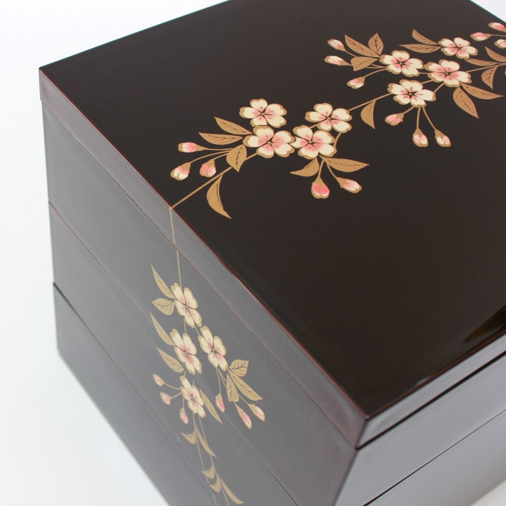 overhead closeup enyama bento box sakura flowers