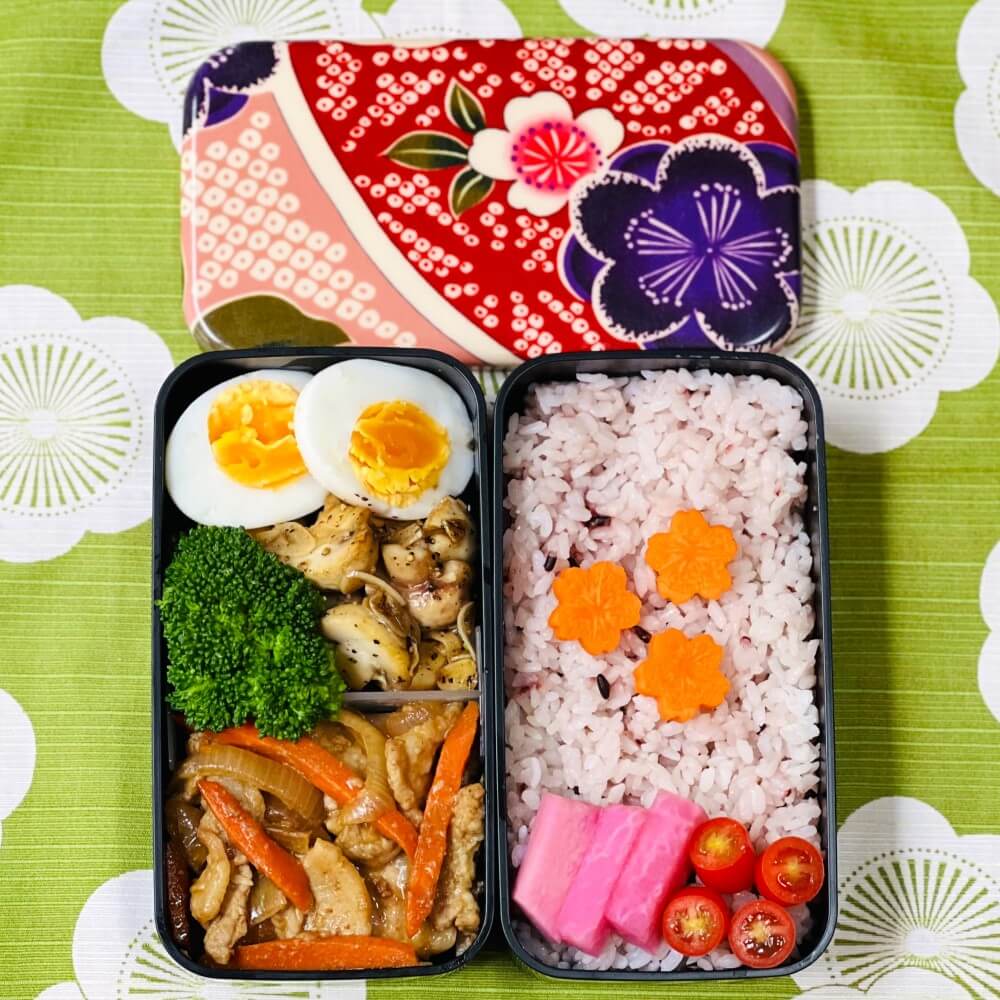 sakura blossoms rectangle bento box with food overhead shot