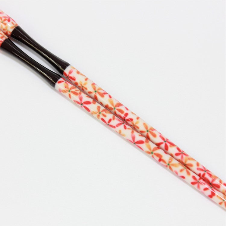 Close up shot showing flower pattern with petals resembling dragonfly wings